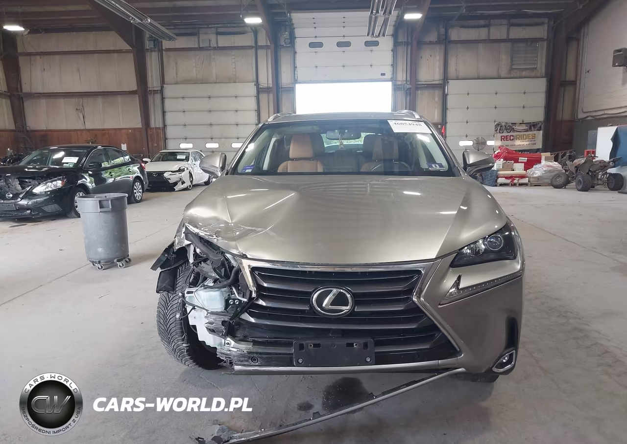 2015 Lexus Nx 200T VIN:JTJBARBZ2F2025739 - 12