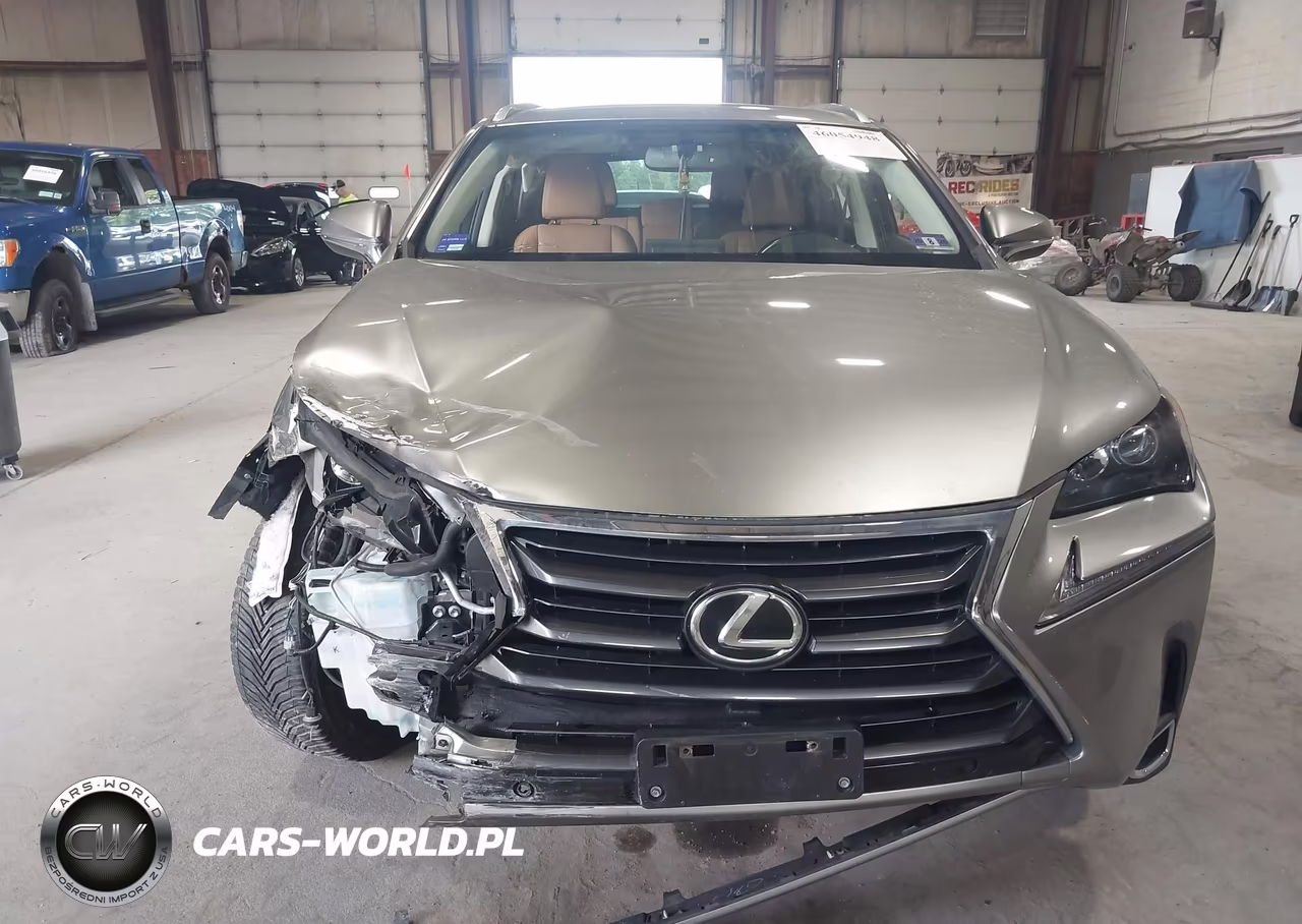 2015 Lexus Nx 200T VIN:JTJBARBZ2F2025739 - 17