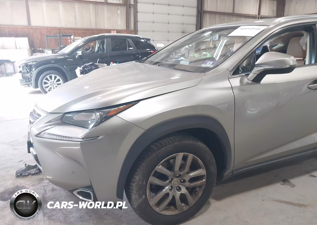 2015 Lexus Nx 200T VIN:JTJBARBZ2F2025739 - 18