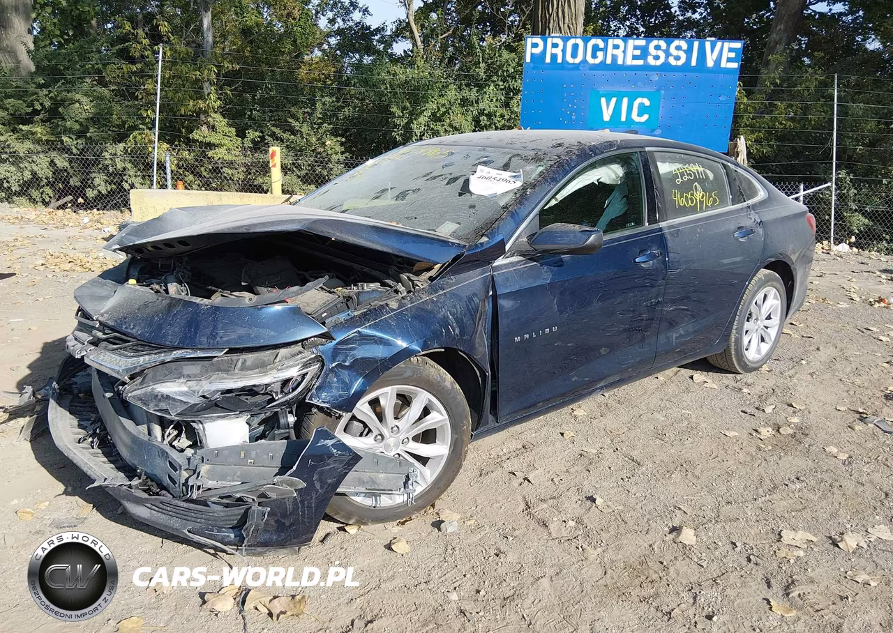 2019 Chevrolet Malibu Lt VIN:1G1ZD5ST1KF225911 - 2