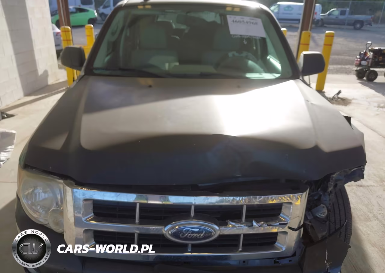 2009 Ford Escape Xlt VIN:1FMCU93G19KA63488 - 10