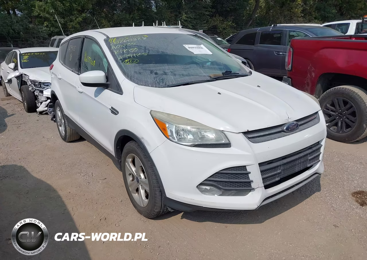 2014 Ford Escape Se