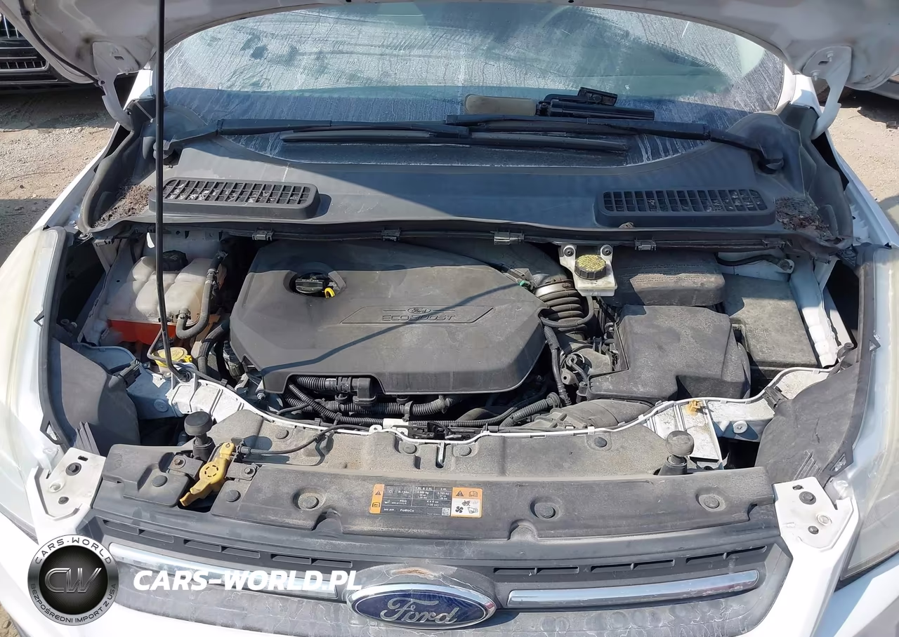 2014 Ford Escape Se VIN:1FMCU0GX6EUA79125 - 10