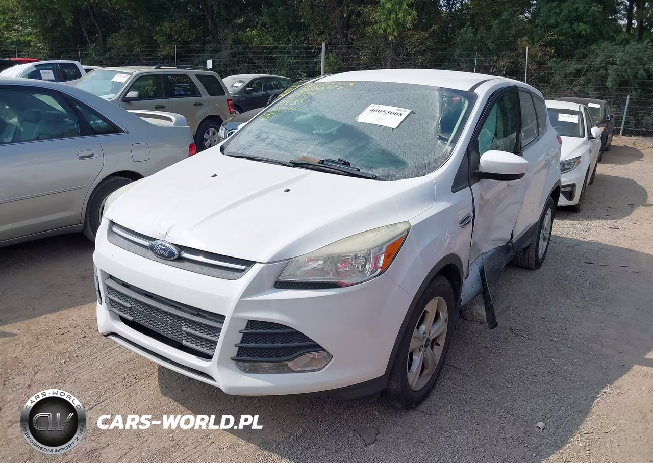 2014 Ford Escape Se VIN:1FMCU0GX6EUA79125 - 2