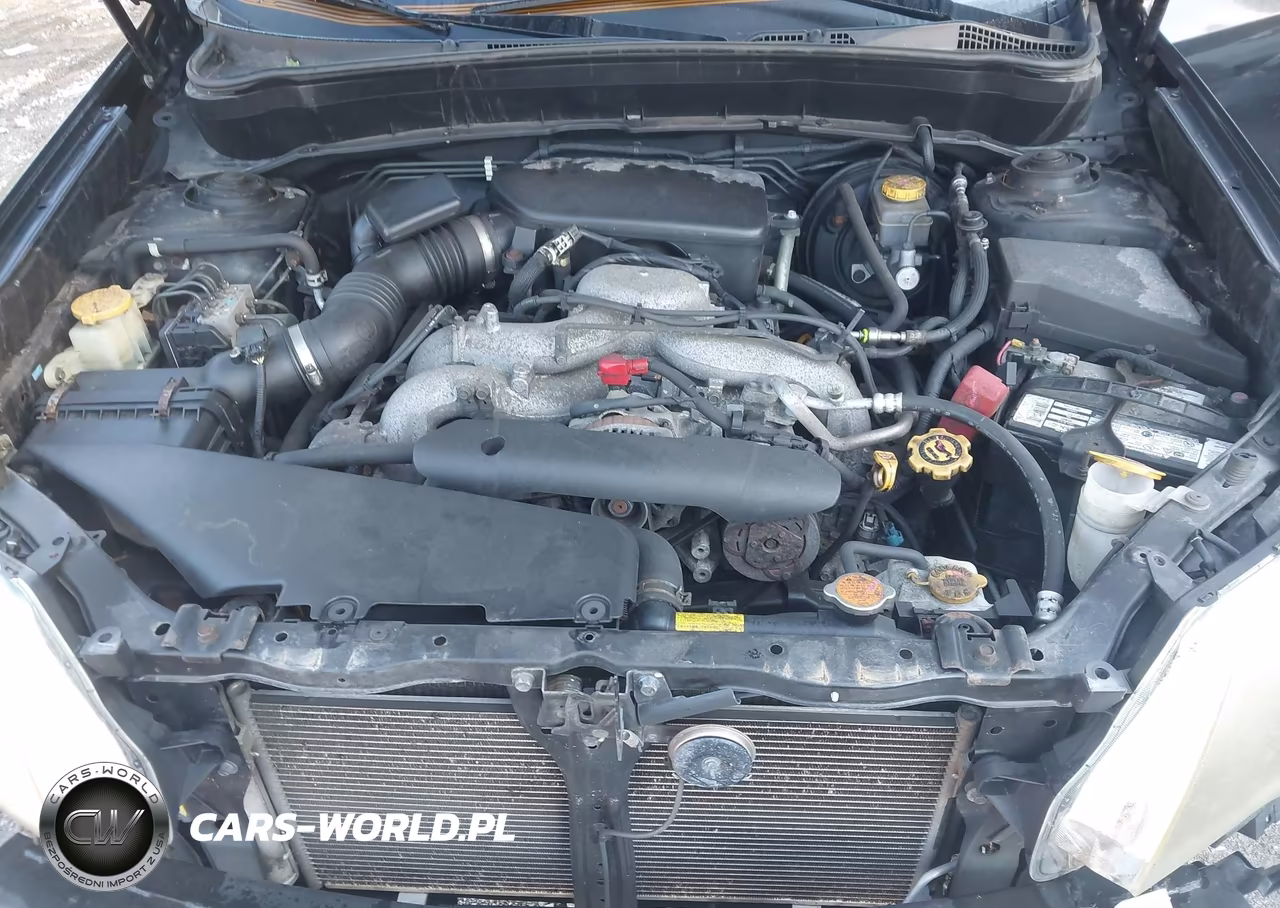 2010 Subaru Forester 2.5X Premium VIN:JF2SH6CC7AH800874 - 10