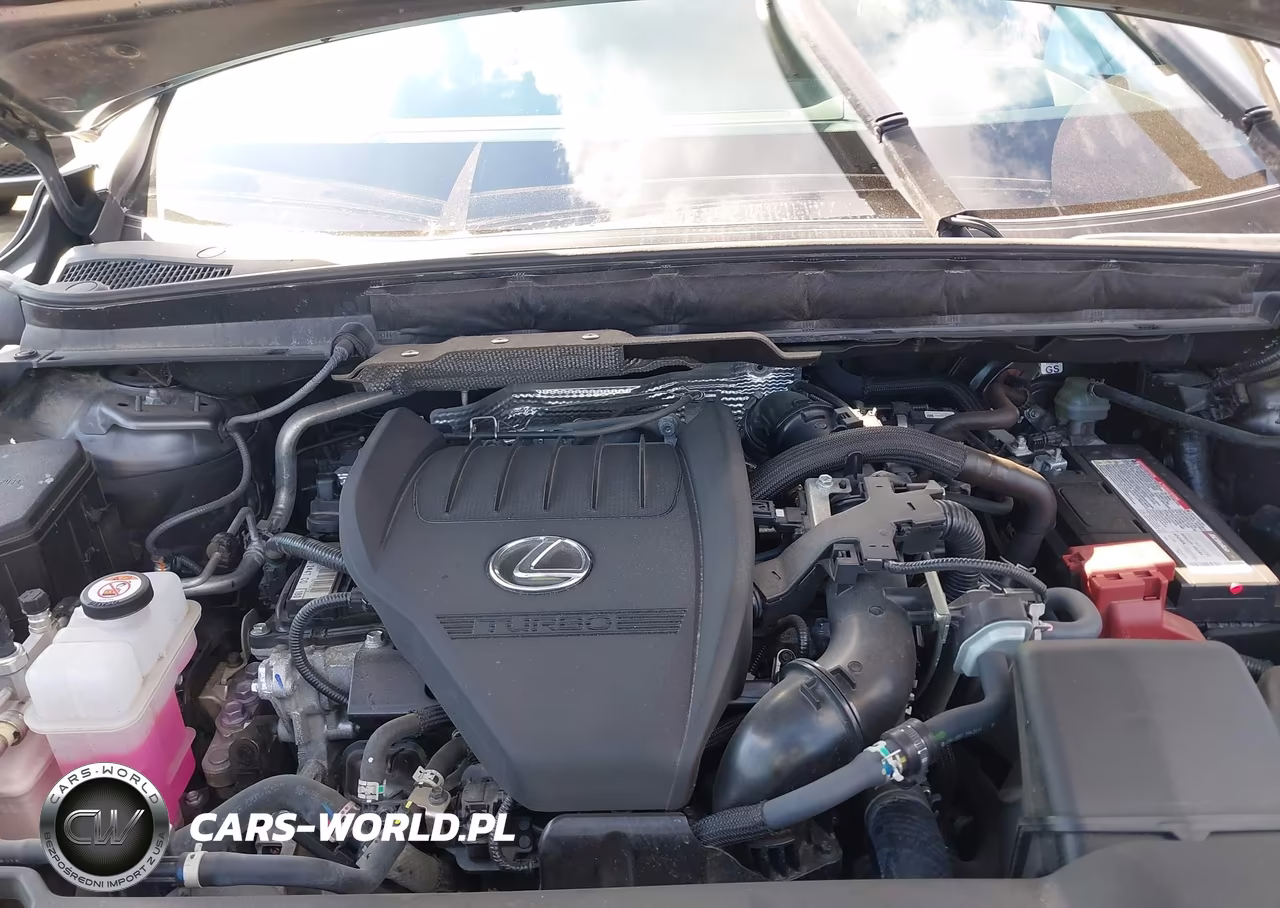 2023 Lexus Rx 350 F Sport Handling VIN:2T2BAMCAXPC019040 - 10