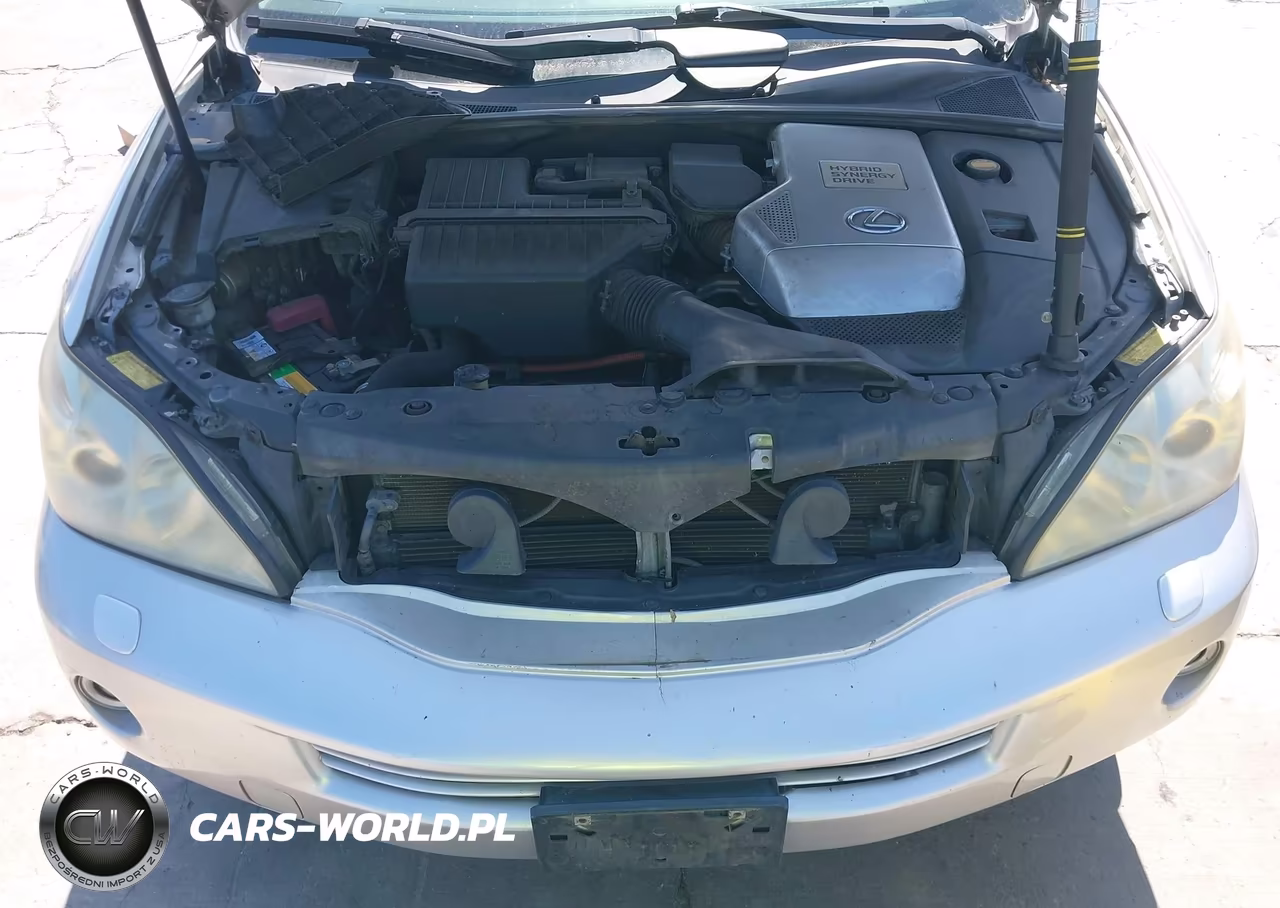 2006 Lexus Rx 400H VIN:JTJHW31U960009354 - 10