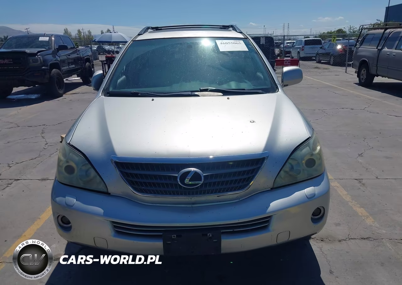 2006 Lexus Rx 400H VIN:JTJHW31U960009354 - 12