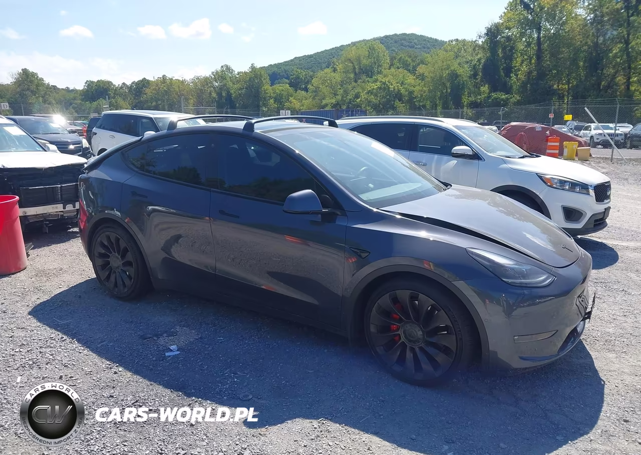 2022 Tesla Model Y Performance Dual Motor All-Wheel Drive