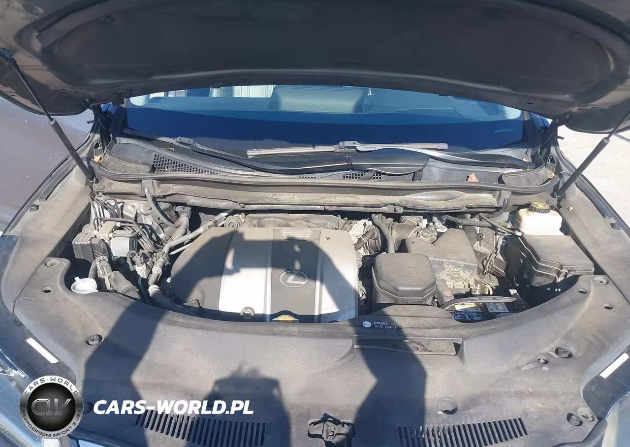 2016 Lexus Rx 350 VIN:2T2BZMCA8GC027744 - 10