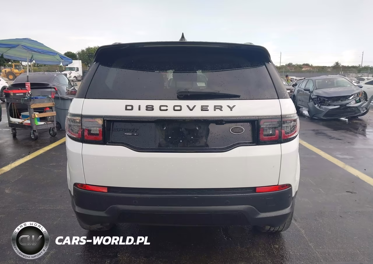 2020 Land Rover Discovery Sport S VIN:SALCJ2FX8LH846613 - 17