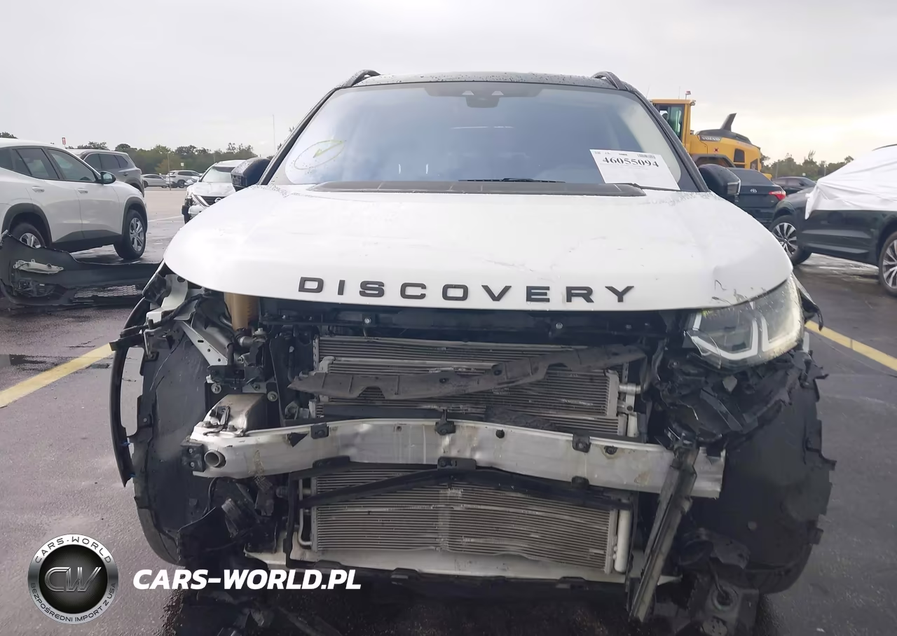 2020 Land Rover Discovery Sport S VIN:SALCJ2FX8LH846613 - 6