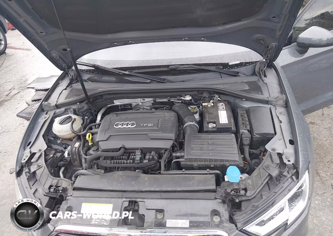 2017 Audi A3 2.0T Premium VIN:WAUB8GFFXH1053782 - 10