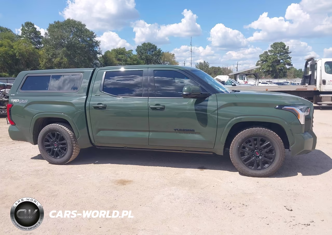 2023 Toyota Tundra Sr5 VIN:5TFLA5DB8PX113425 - 13
