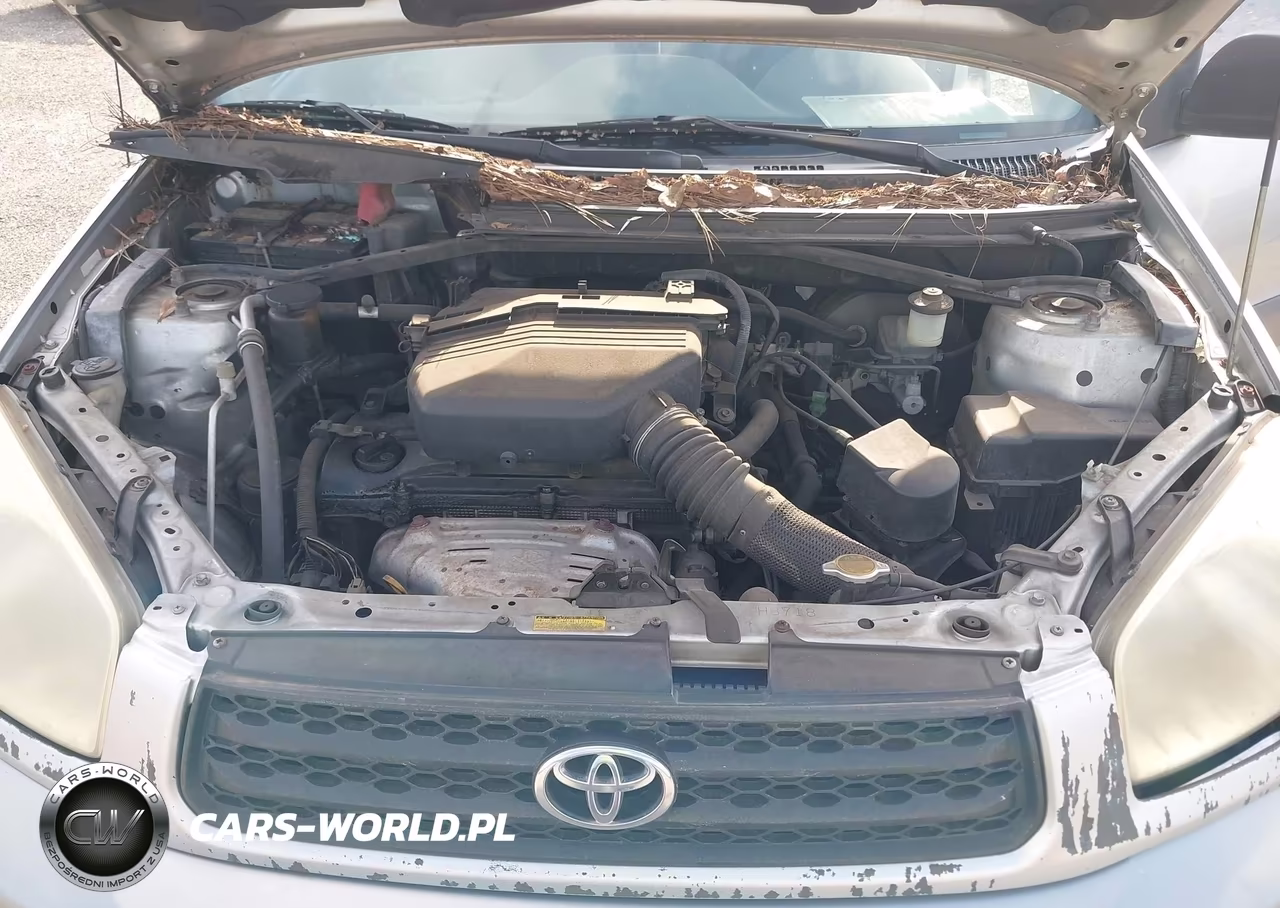 2002 Toyota Rav4 VIN:JTEGH20V320053935 - 10