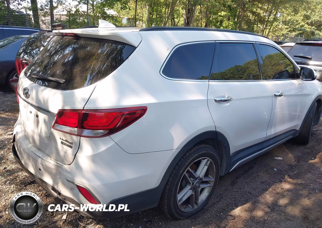 2017 Hyundai Santa Fe Limited Ultimate VIN:KM8SRDHF5HU237470 - 4