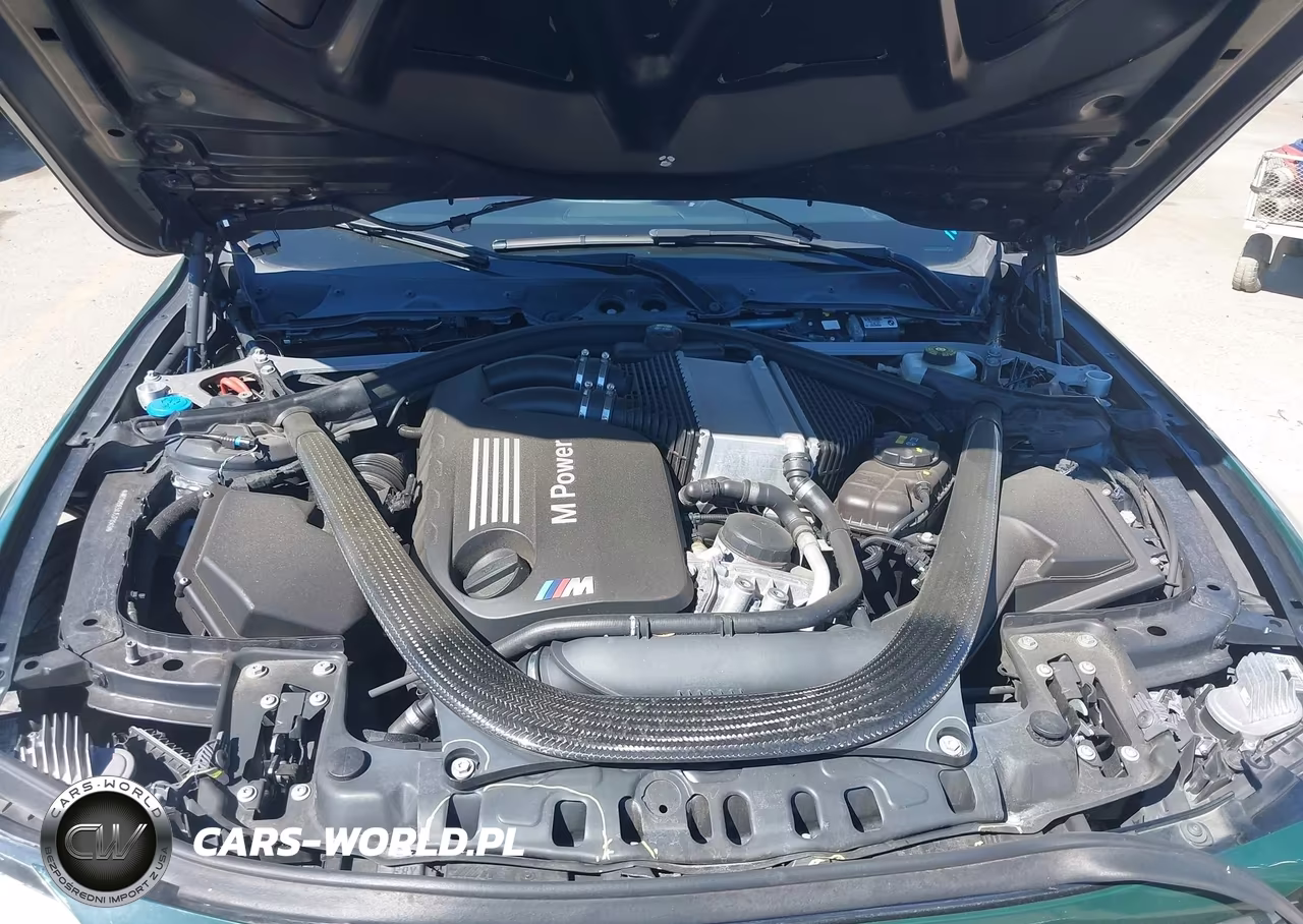 2018 BMW M3 Cs VIN:WBS8M9C5XJ5J78949 - 10
