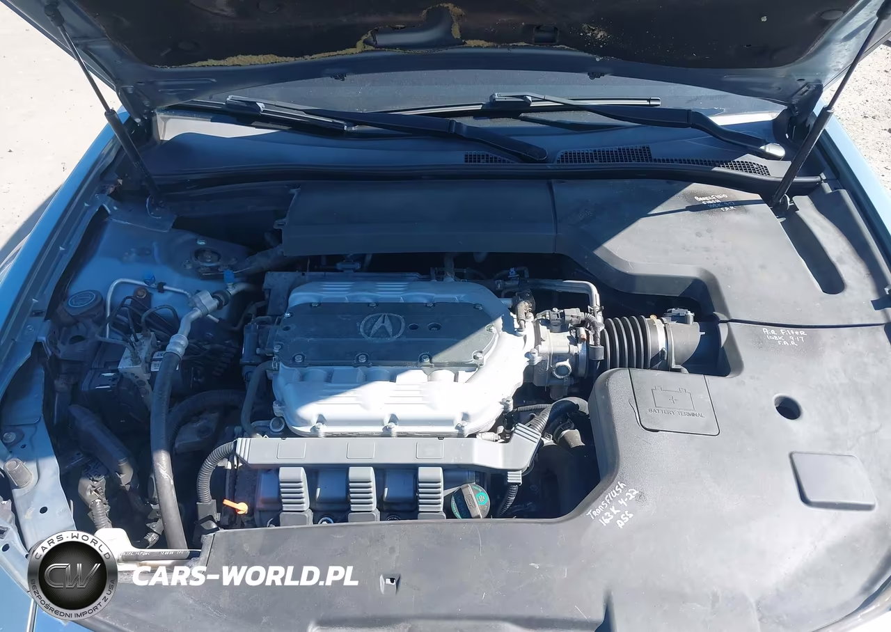 2009 Acura Tl 3.5 VIN:19UUA86509A018779 - 10