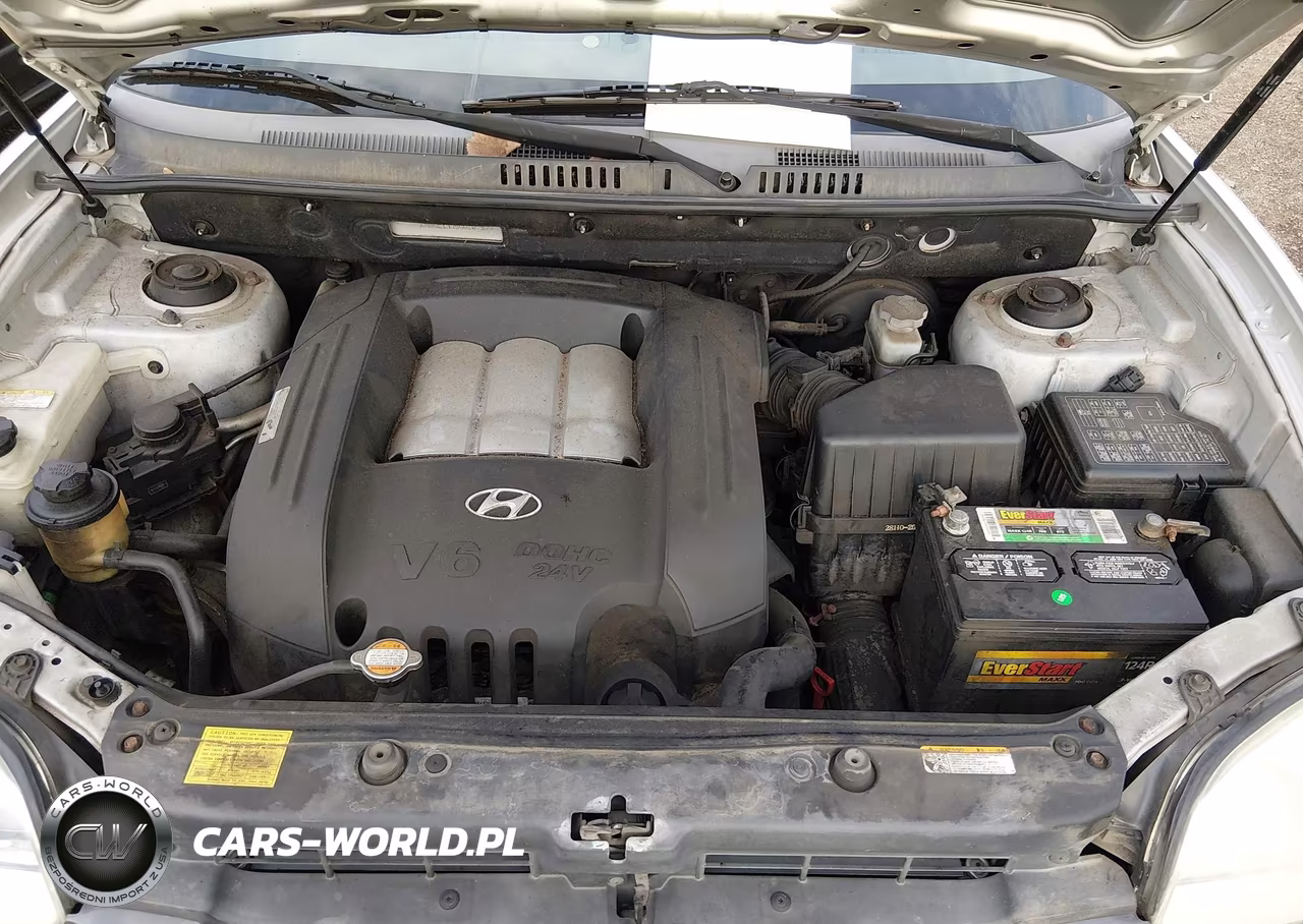 2006 Hyundai Santa Fe Gls VIN:KM8SC13D56U107577 - 10