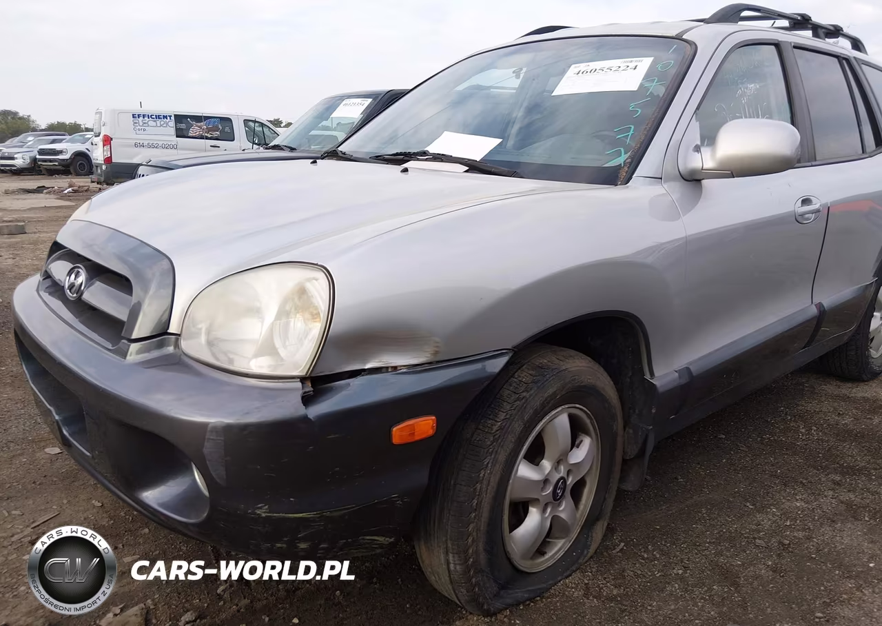 2006 Hyundai Santa Fe Gls VIN:KM8SC13D56U107577 - 6