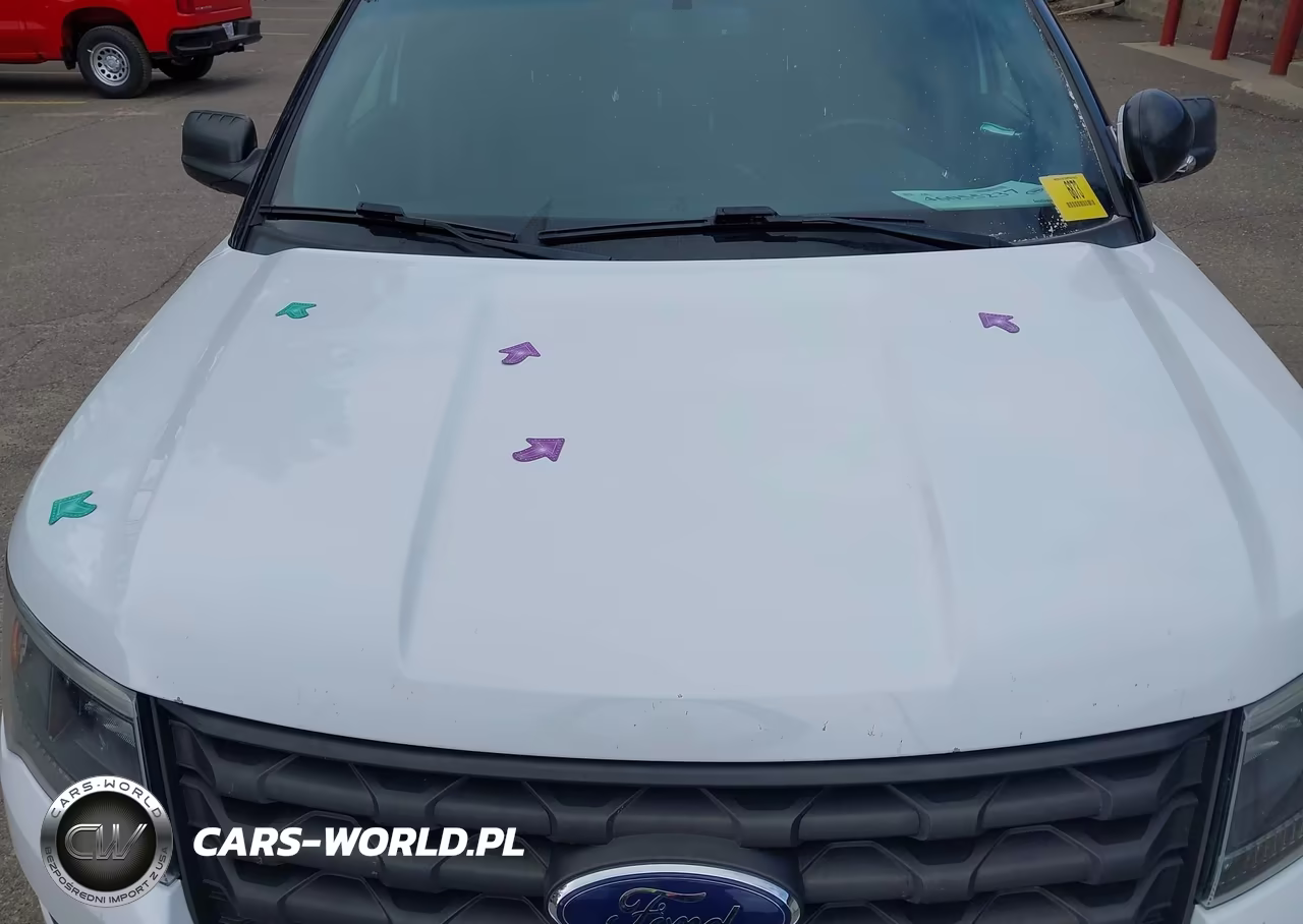 2017 Ford Utility Police Interceptor VIN:1FM5K8AR8HGB72450 - 12