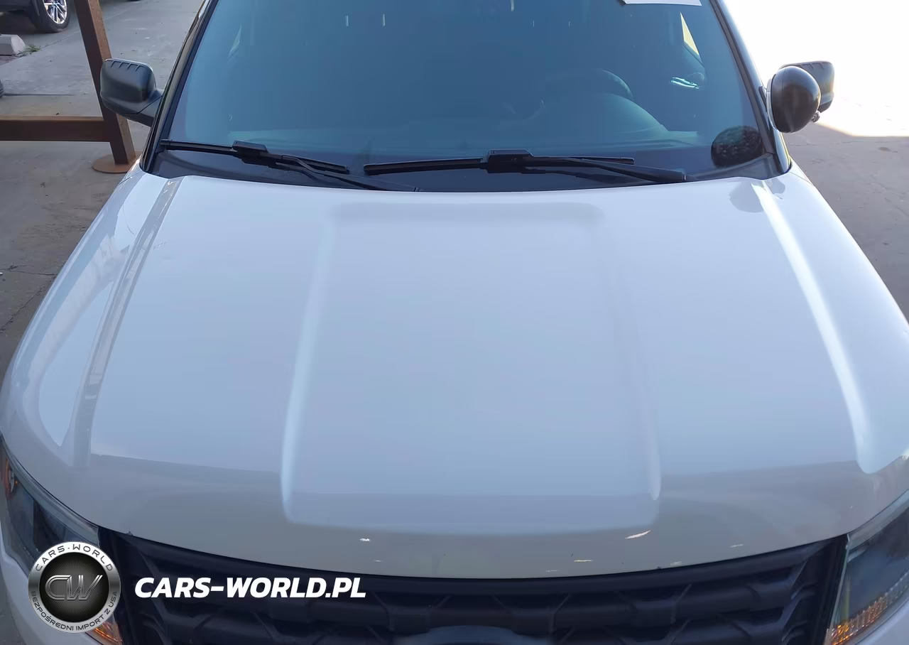 2017 Ford Utility Police Interceptor VIN:1FM5K8AR8HGB72450 - 6