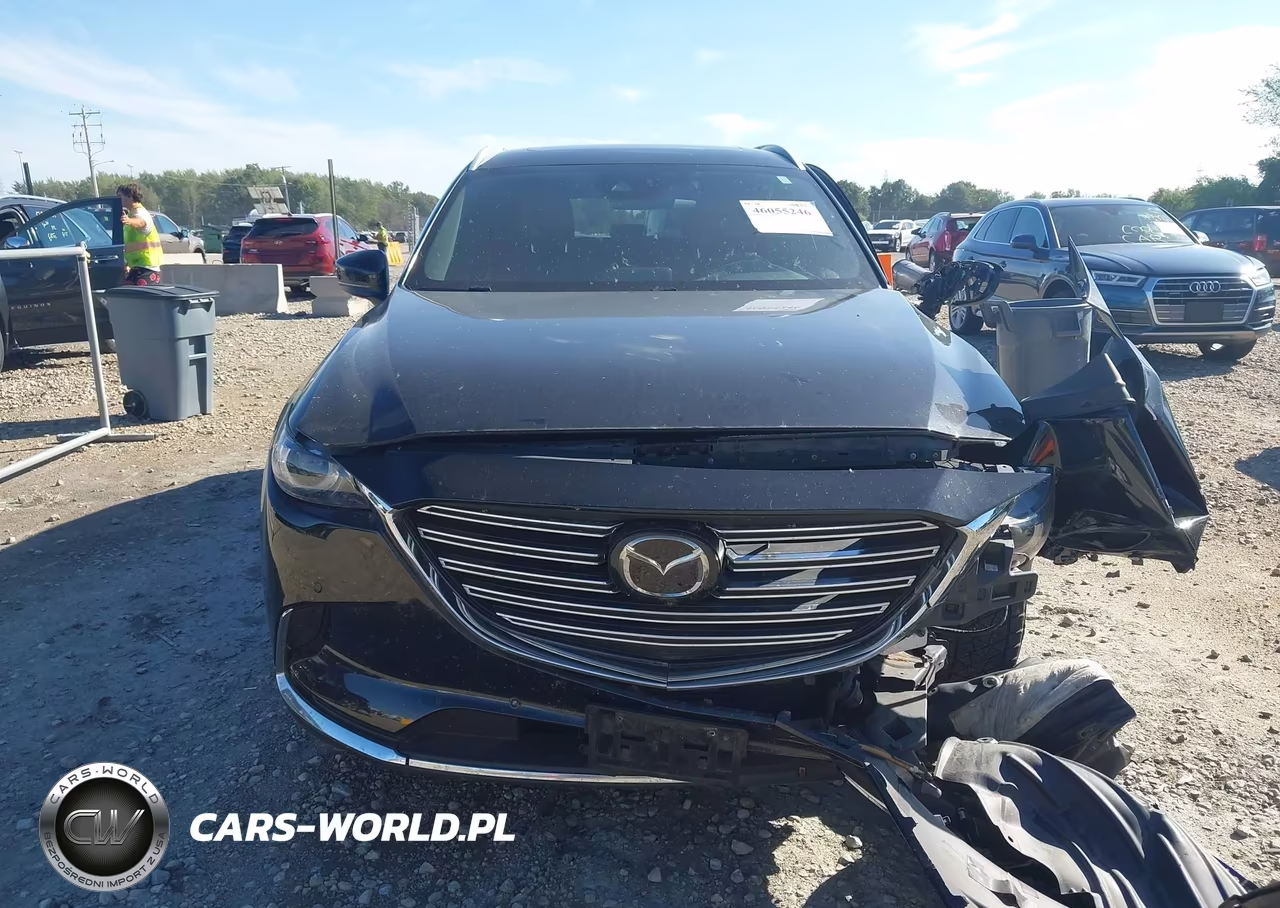 2019 Mazda Cx-9 Signature VIN:JM3TCBEY5K0336865 - 12