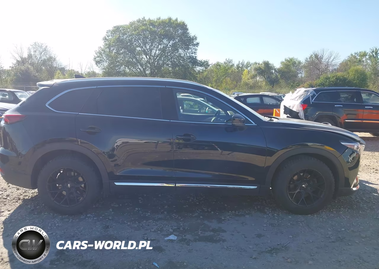 2019 Mazda Cx-9 Signature VIN:JM3TCBEY5K0336865 - 13