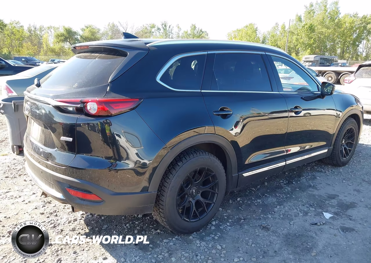 2019 Mazda Cx-9 Signature VIN:JM3TCBEY5K0336865 - 4