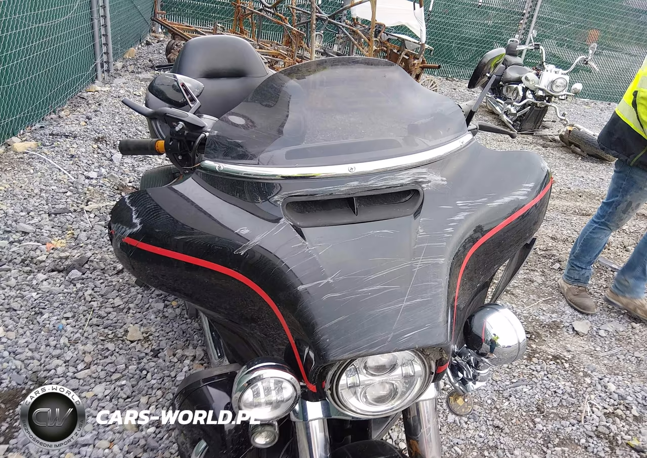 2015 Harley-Davidson Flhtk Ultra Limited VIN:1HD1KEL1XFB665886 - 16