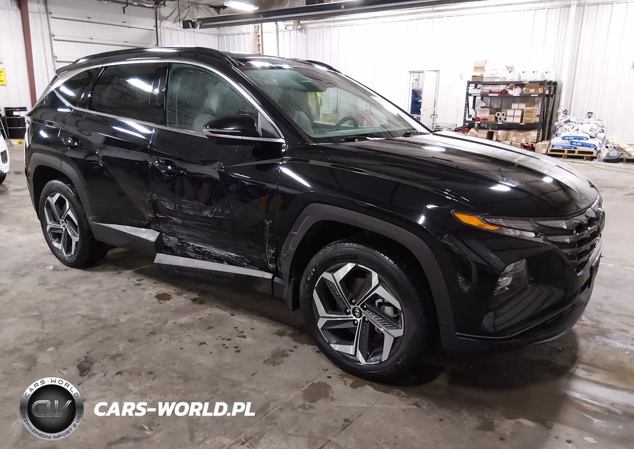 2022 Hyundai Tucson Limited VIN:5NMJECAE4NH049114 - 1