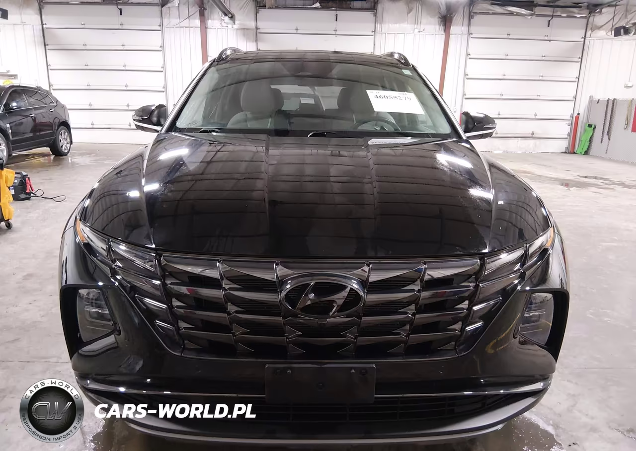 2022 Hyundai Tucson Limited VIN:5NMJECAE4NH049114 - 12