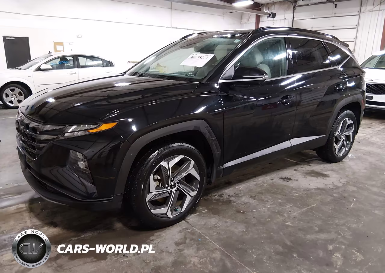 2022 Hyundai Tucson Limited VIN:5NMJECAE4NH049114 - 2