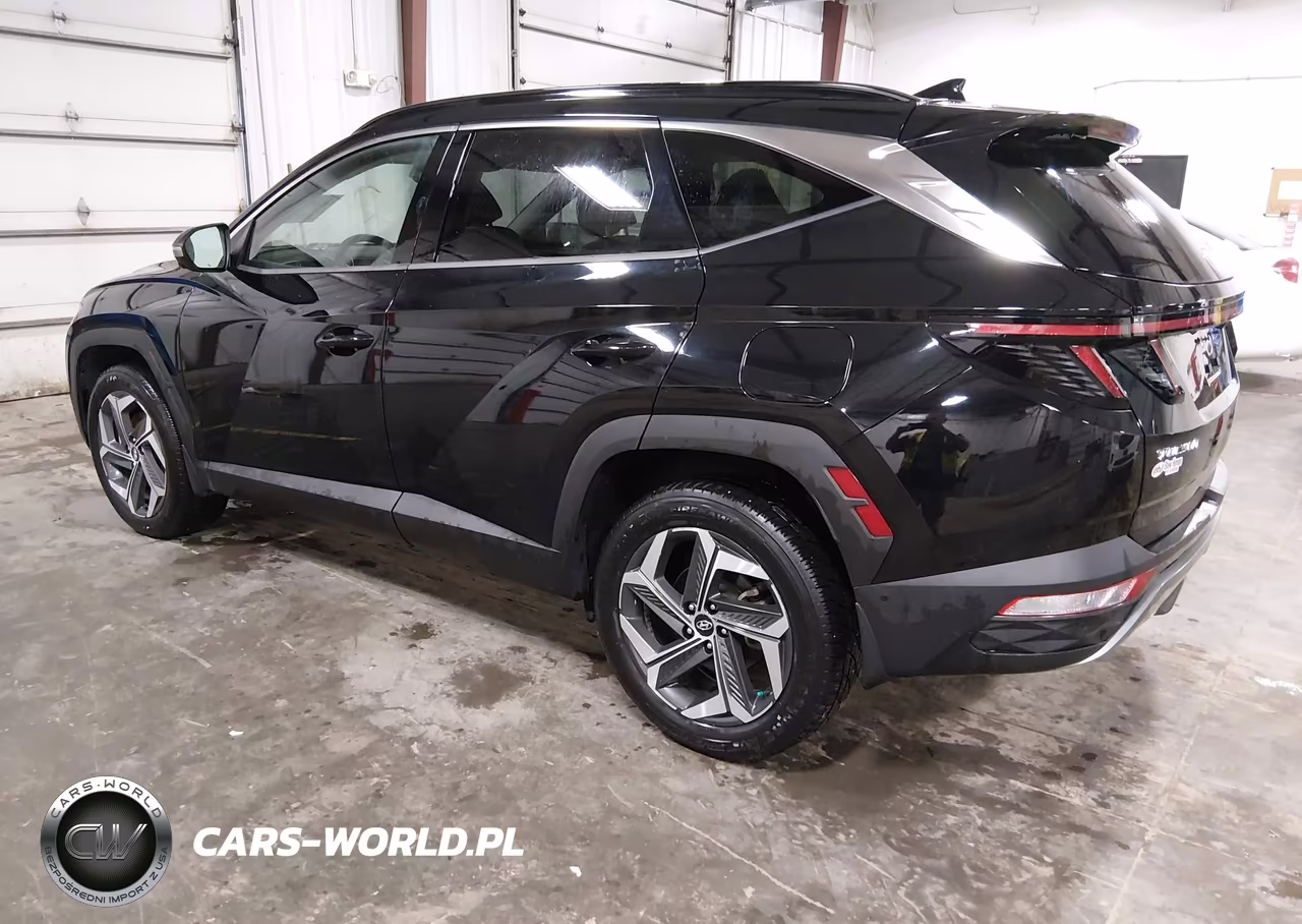 2022 Hyundai Tucson Limited VIN:5NMJECAE4NH049114 - 3