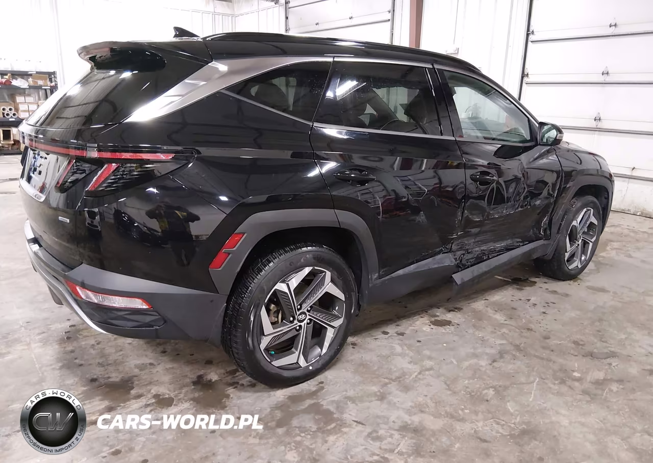 2022 Hyundai Tucson Limited VIN:5NMJECAE4NH049114 - 4