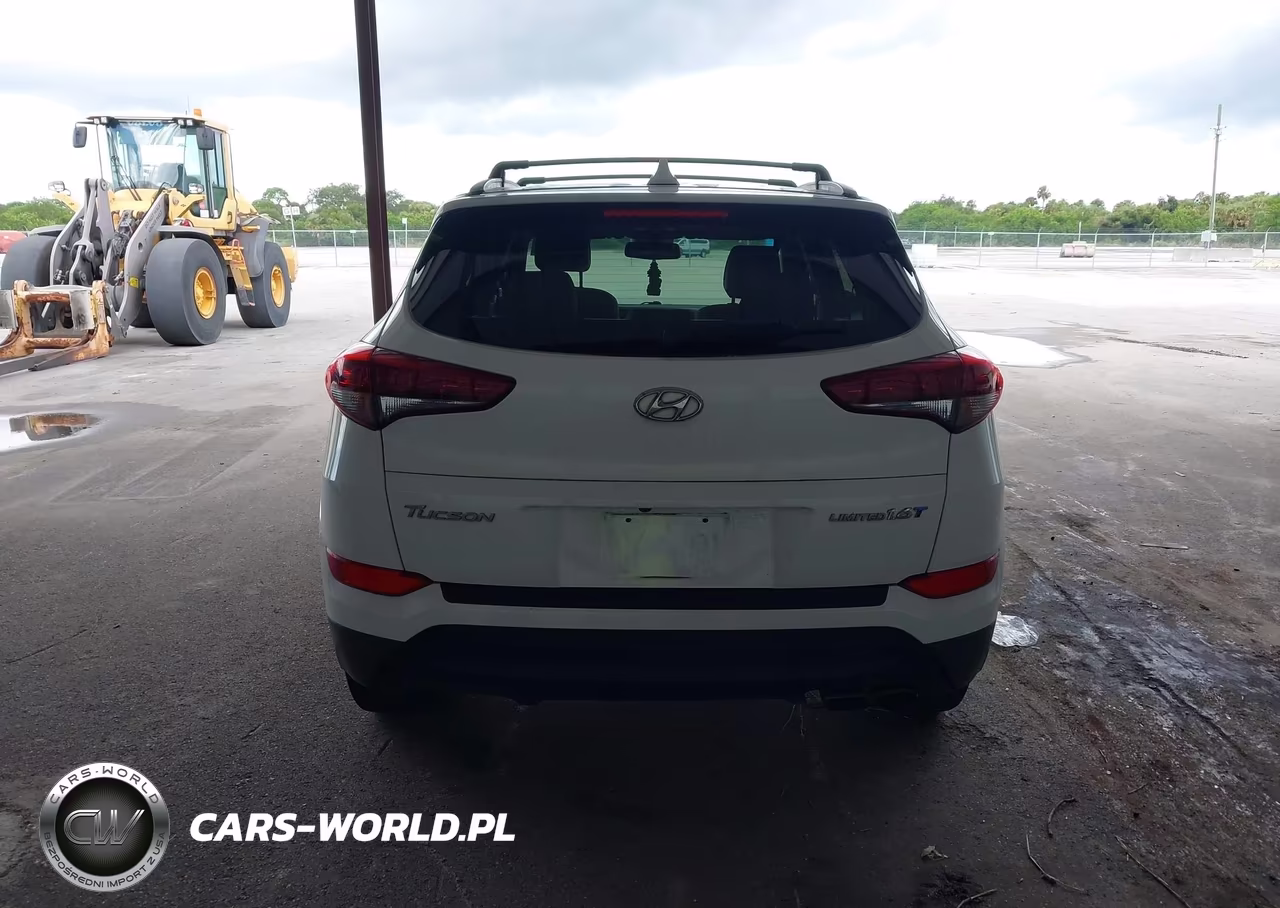 2017 Hyundai Tucson Limited VIN:KM8J33A20HU273260 - 16