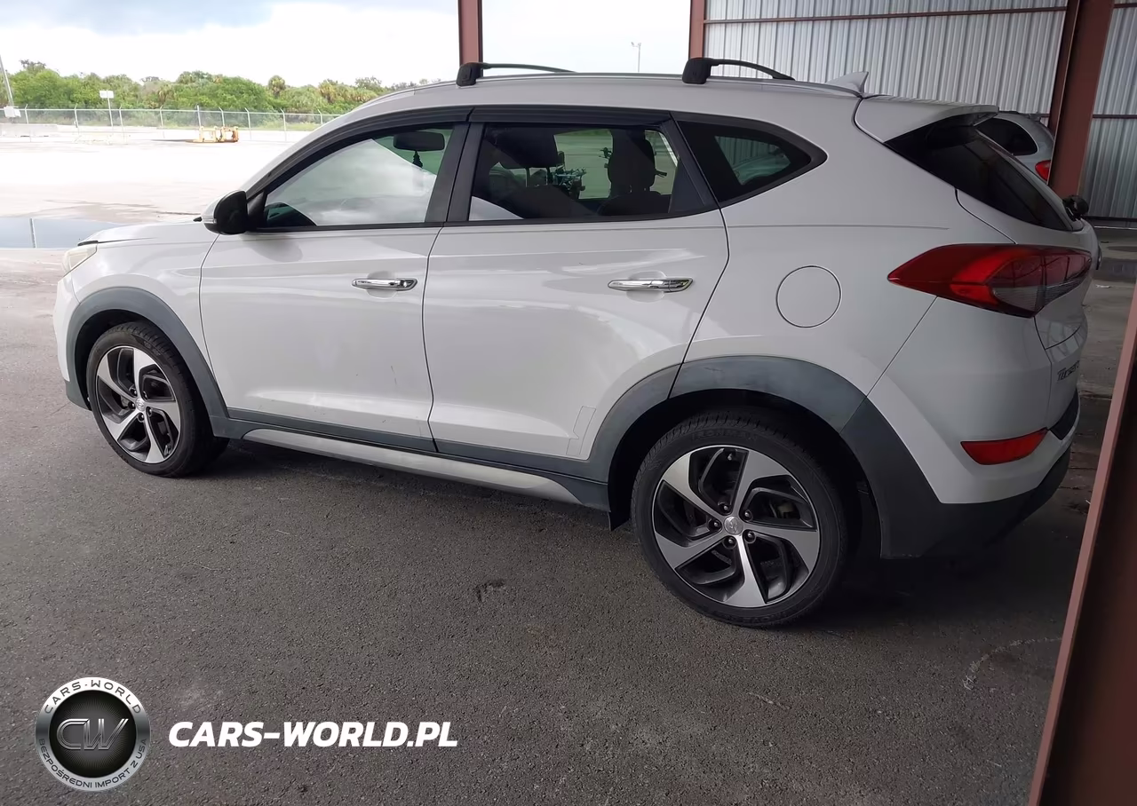 2017 Hyundai Tucson Limited VIN:KM8J33A20HU273260 - 3