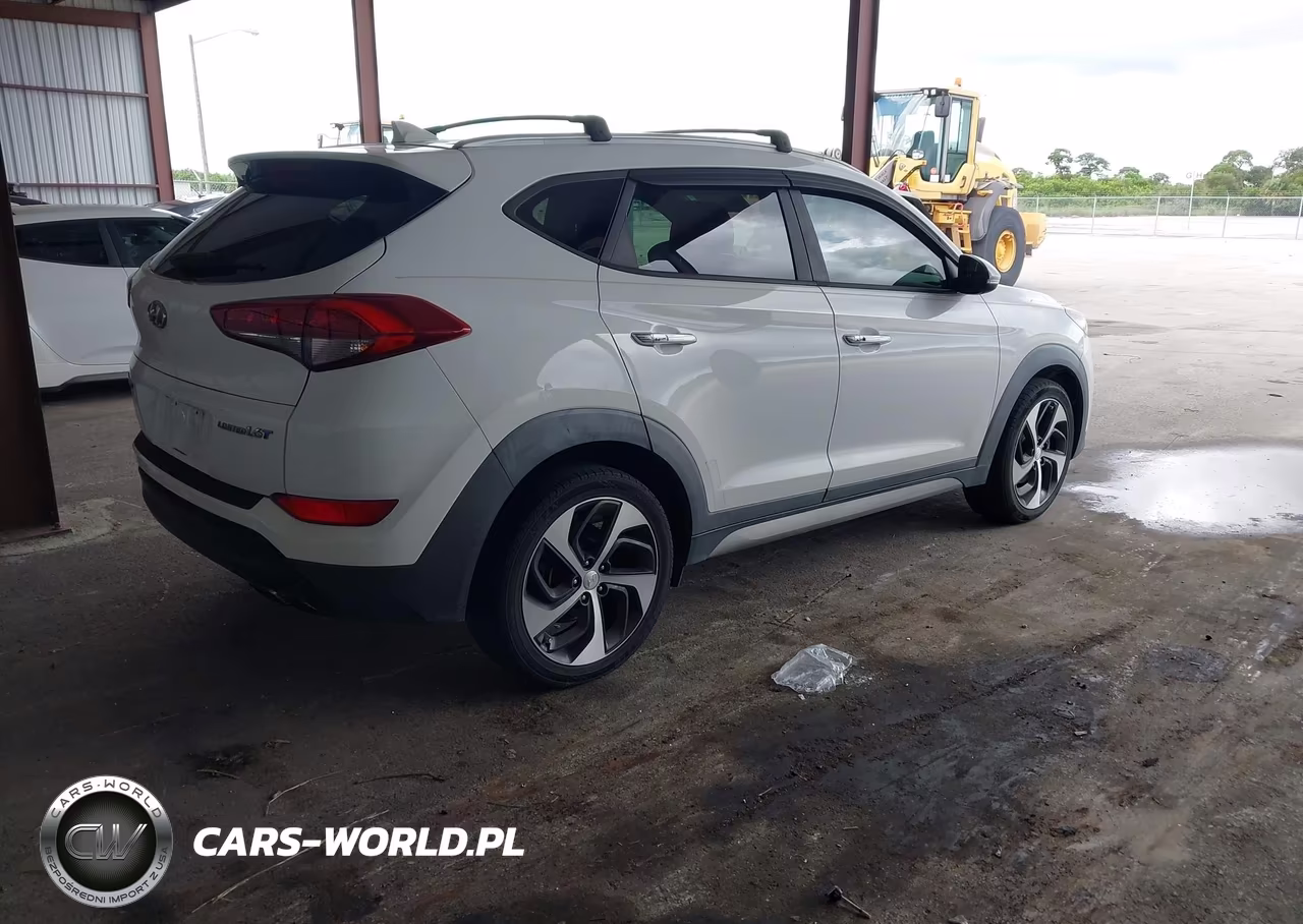 2017 Hyundai Tucson Limited VIN:KM8J33A20HU273260 - 4