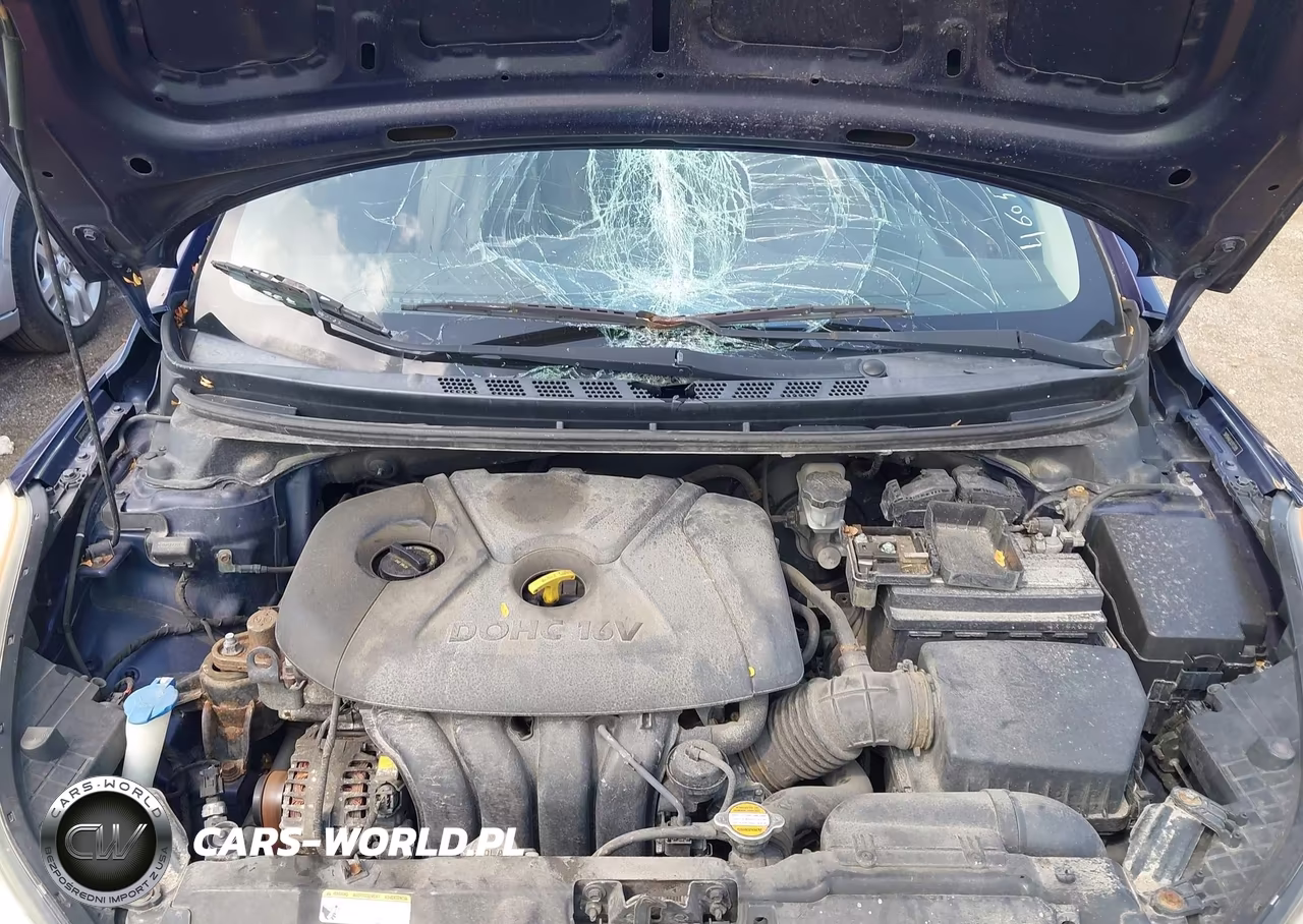2012 Hyundai Elantra Gls VIN:5NPDH4AE5CH113588 - 10