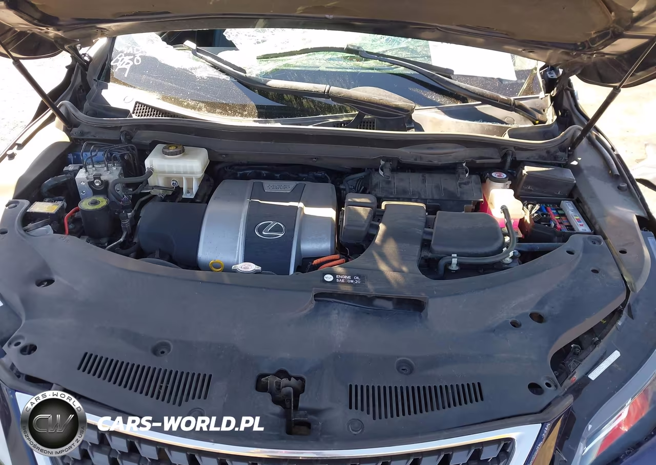 2020 Lexus Rx 450Hl VIN:JTJHGKFA5L2010409 - 10