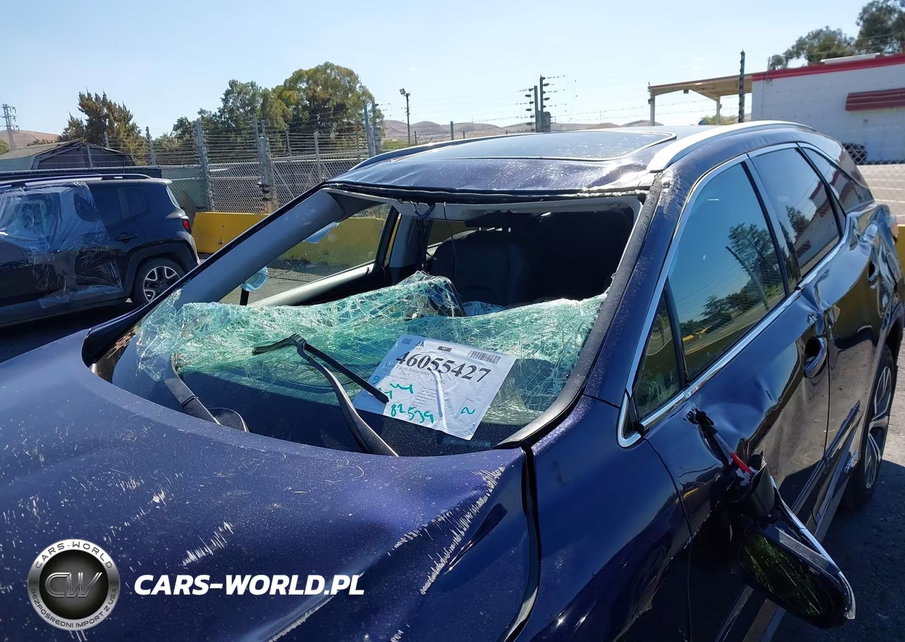 2020 Lexus Rx 450Hl VIN:JTJHGKFA5L2010409 - 14