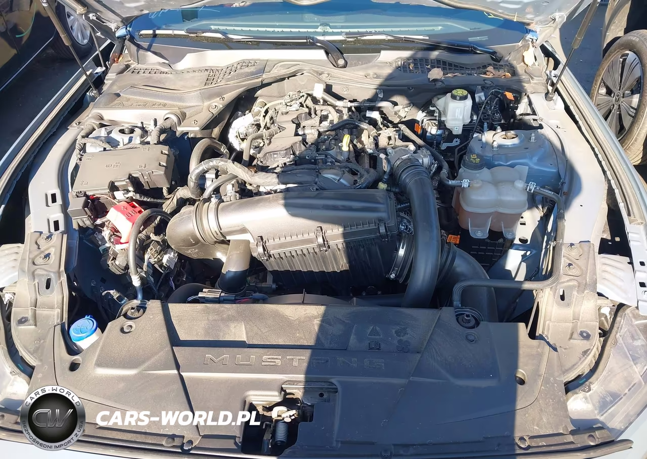 2024 Ford Mustang Ecoboost Premium Fastback VIN:1FA6P8TH8R5147100 - 10