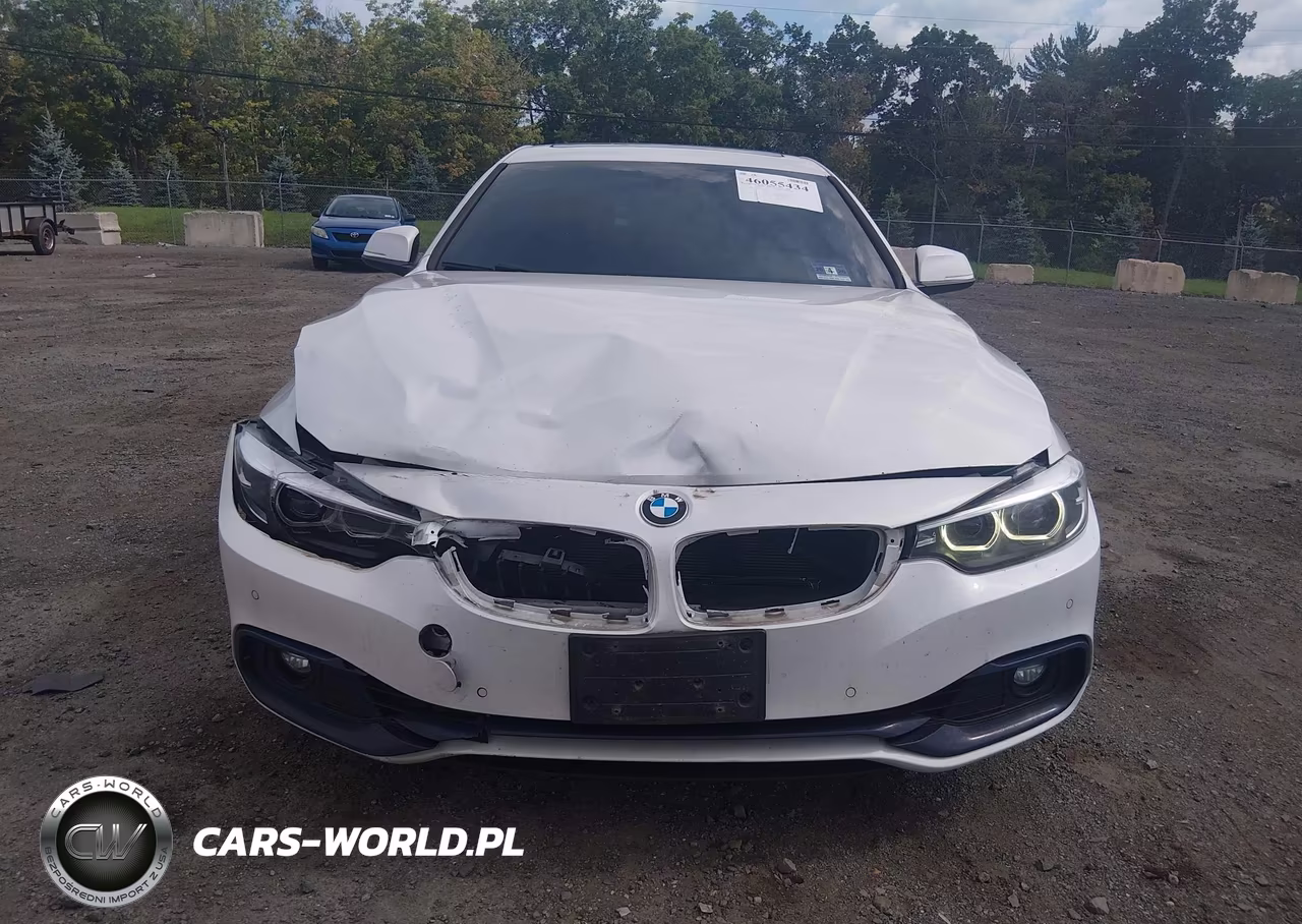 2019 BMW 430I Gran Coupe xDrive VIN:WBA4J3C55KBL07160 - 12