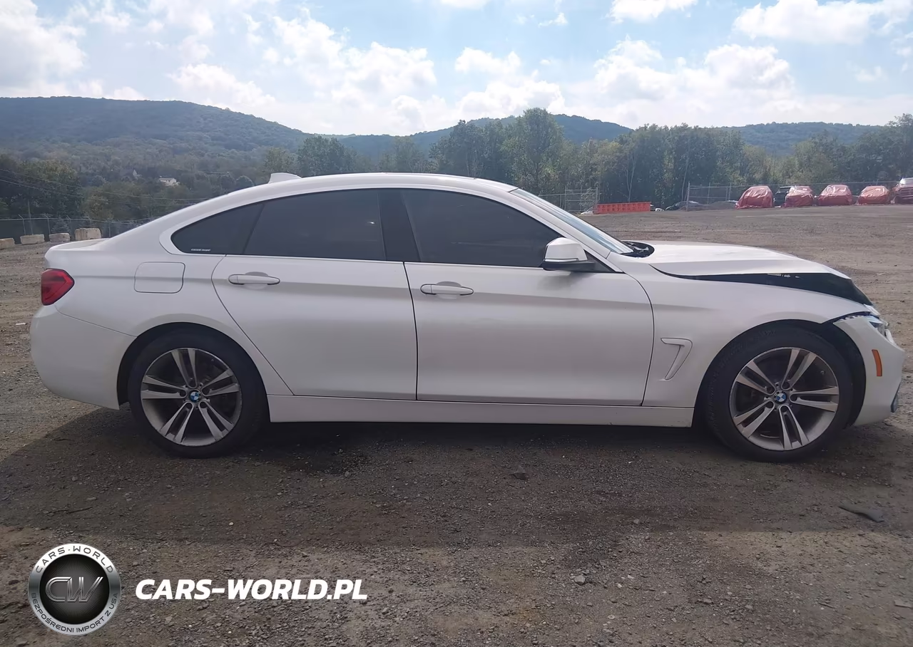 2019 BMW 430I Gran Coupe xDrive VIN:WBA4J3C55KBL07160 - 13