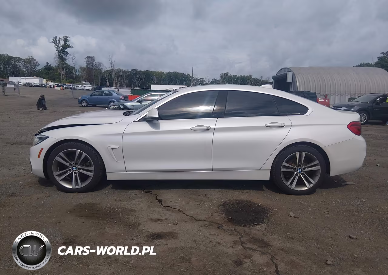 2019 BMW 430I Gran Coupe xDrive VIN:WBA4J3C55KBL07160 - 14