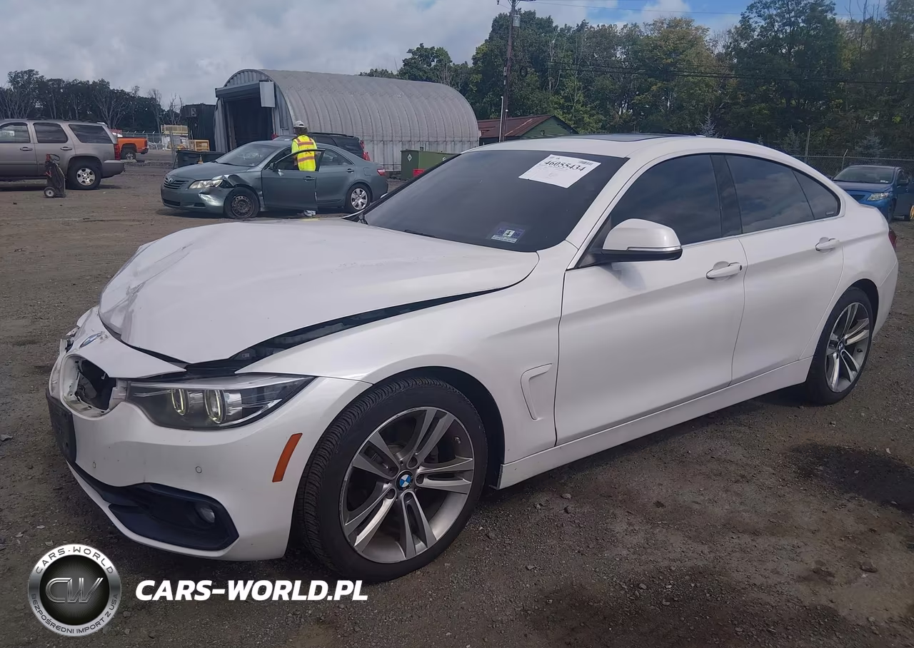 2019 BMW 430I Gran Coupe xDrive VIN:WBA4J3C55KBL07160 - 2