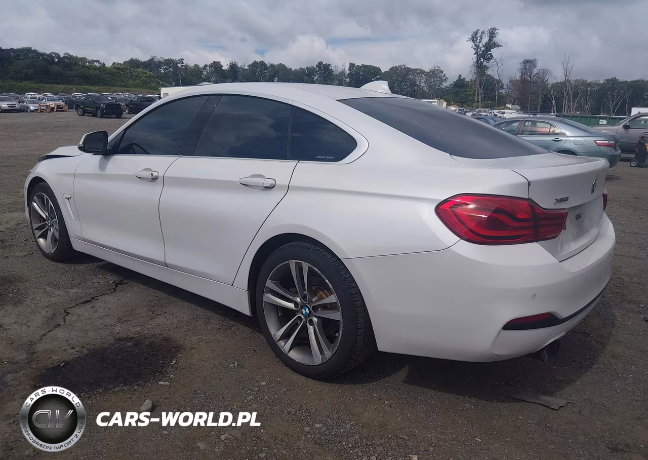 2019 BMW 430I Gran Coupe xDrive VIN:WBA4J3C55KBL07160 - 3