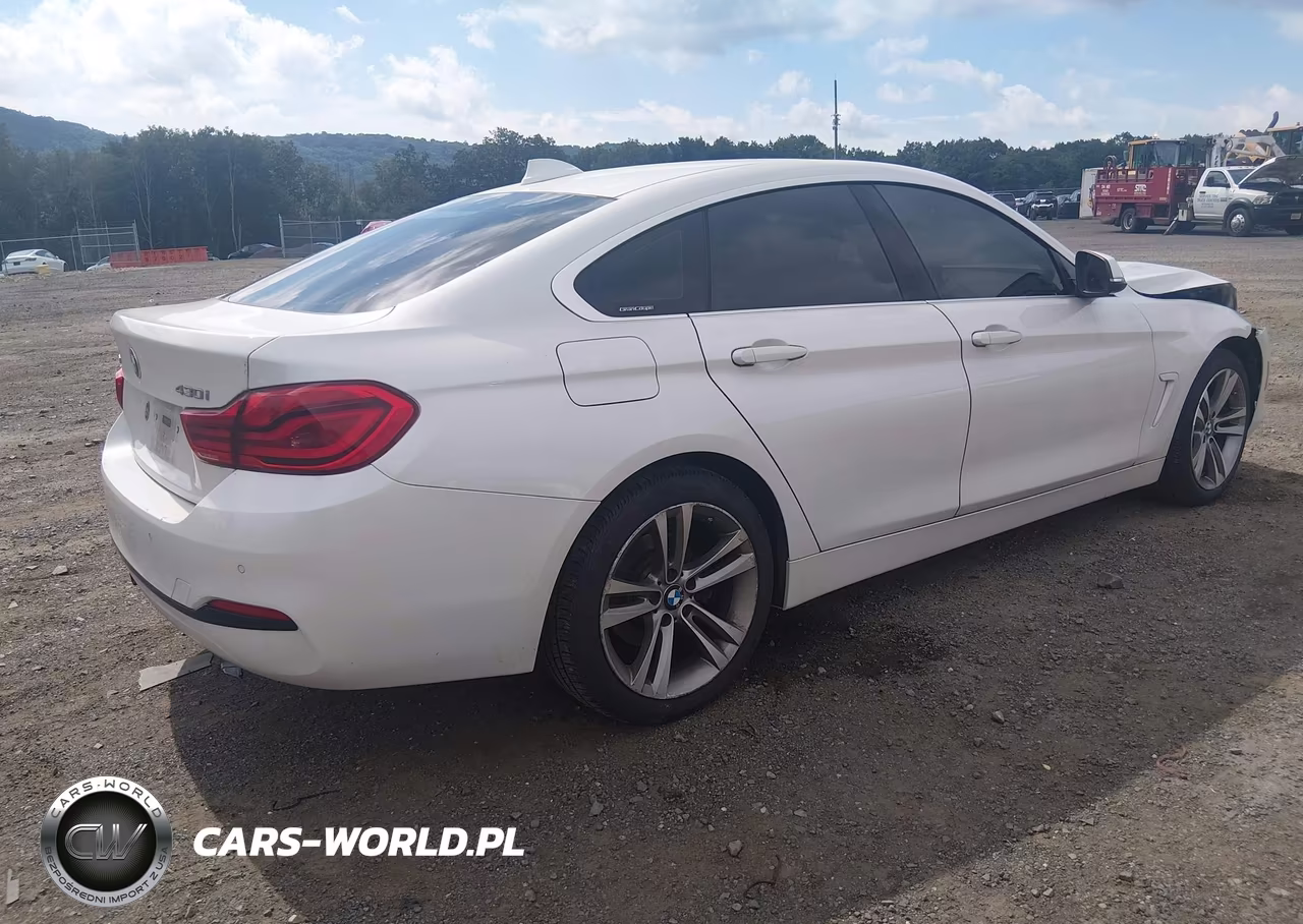 2019 BMW 430I Gran Coupe xDrive VIN:WBA4J3C55KBL07160 - 4