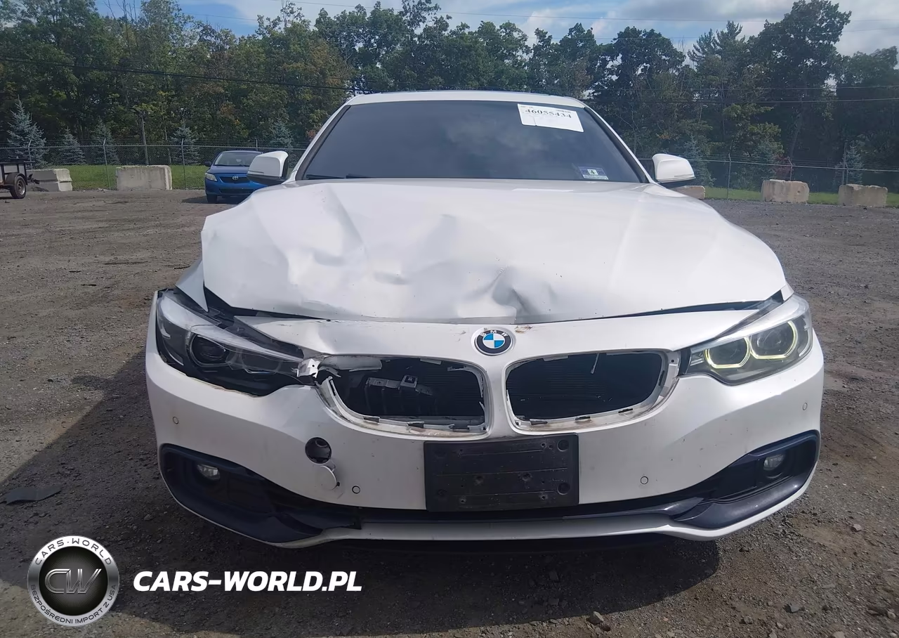 2019 BMW 430I Gran Coupe xDrive VIN:WBA4J3C55KBL07160 - 6