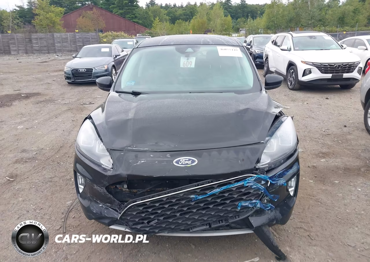 2022 Ford Escape Sel Hybrid VIN:1FMCU9CZ6NUA25139 - 12